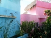 pink 166